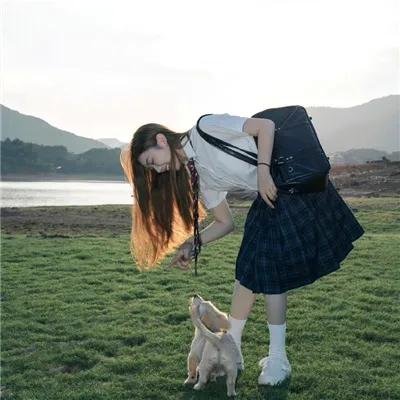 至上之法