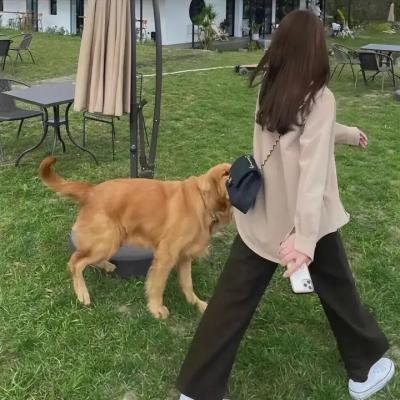 看见你就笑